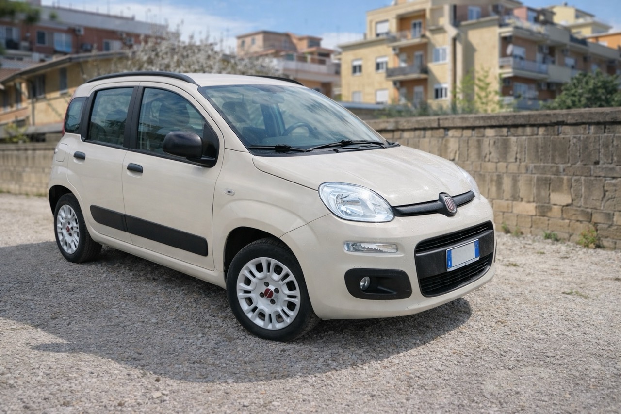 Fiat Panda GPL usata
