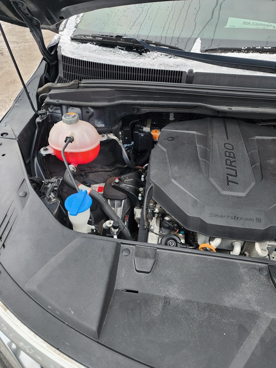 
								Kia Carnival 2021 full									