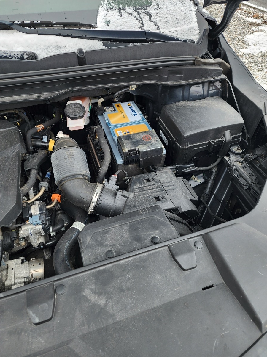 
								Kia Carnival 2021 full									