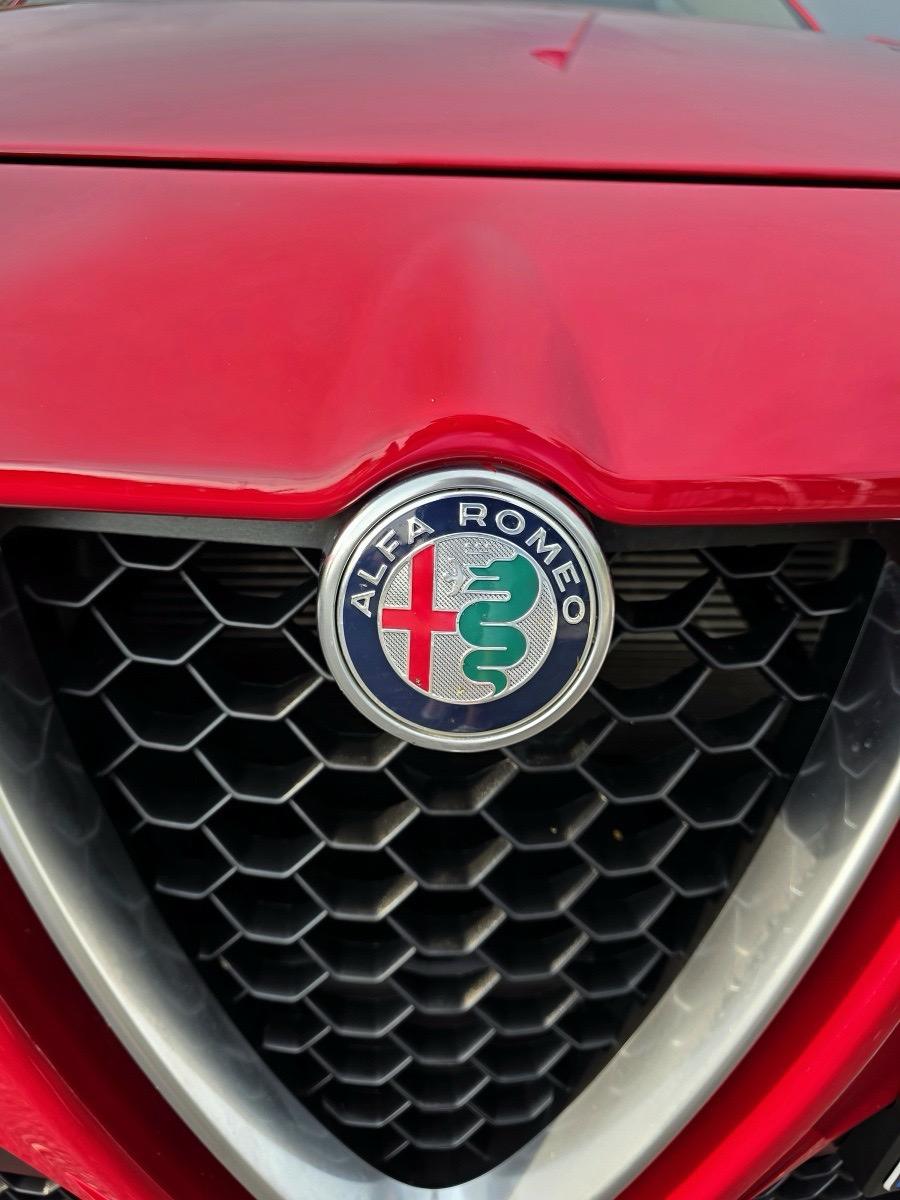 
								ALFA ROMEO STELVIO 2.2 TD full									