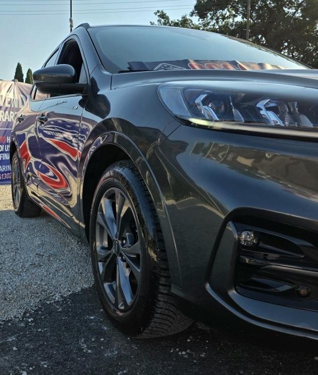 
								Ford Kuga 2.0 EcoBlue ST-Line full									